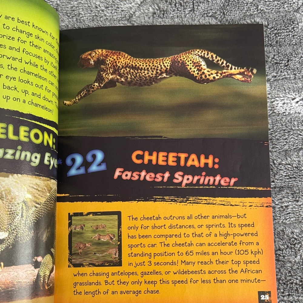 Scholastic 101 Animal Records Paper Back Book - Picture 7 of 10